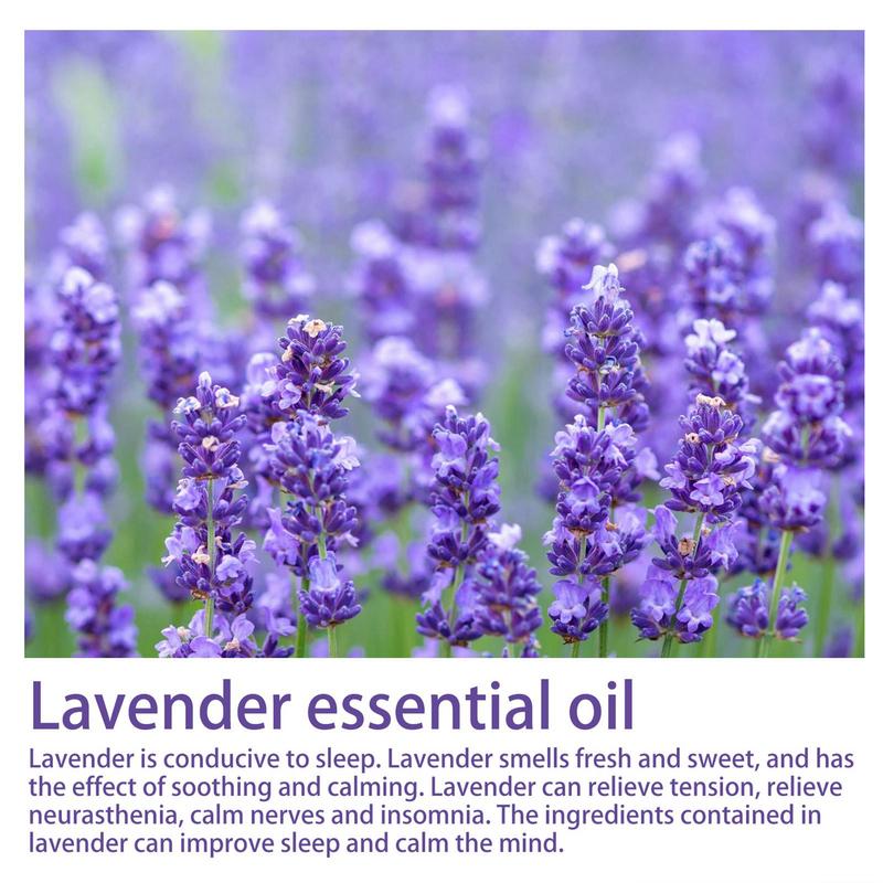 Semprotan tidur Lavender 30ml, - Lavender Pillow Spray ulasan dan harga