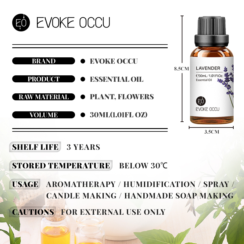 EVOKE OCCU Minyak Esensial Lav - Home Fragrance Jasmine Diffuser ulasan dan harga