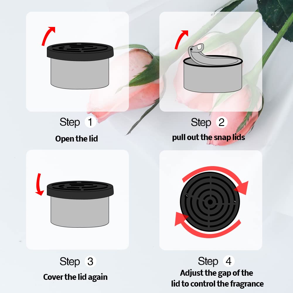 Penyegar udara mobil: aroma ke - Home Fragrance Verbena ulasan dan harga